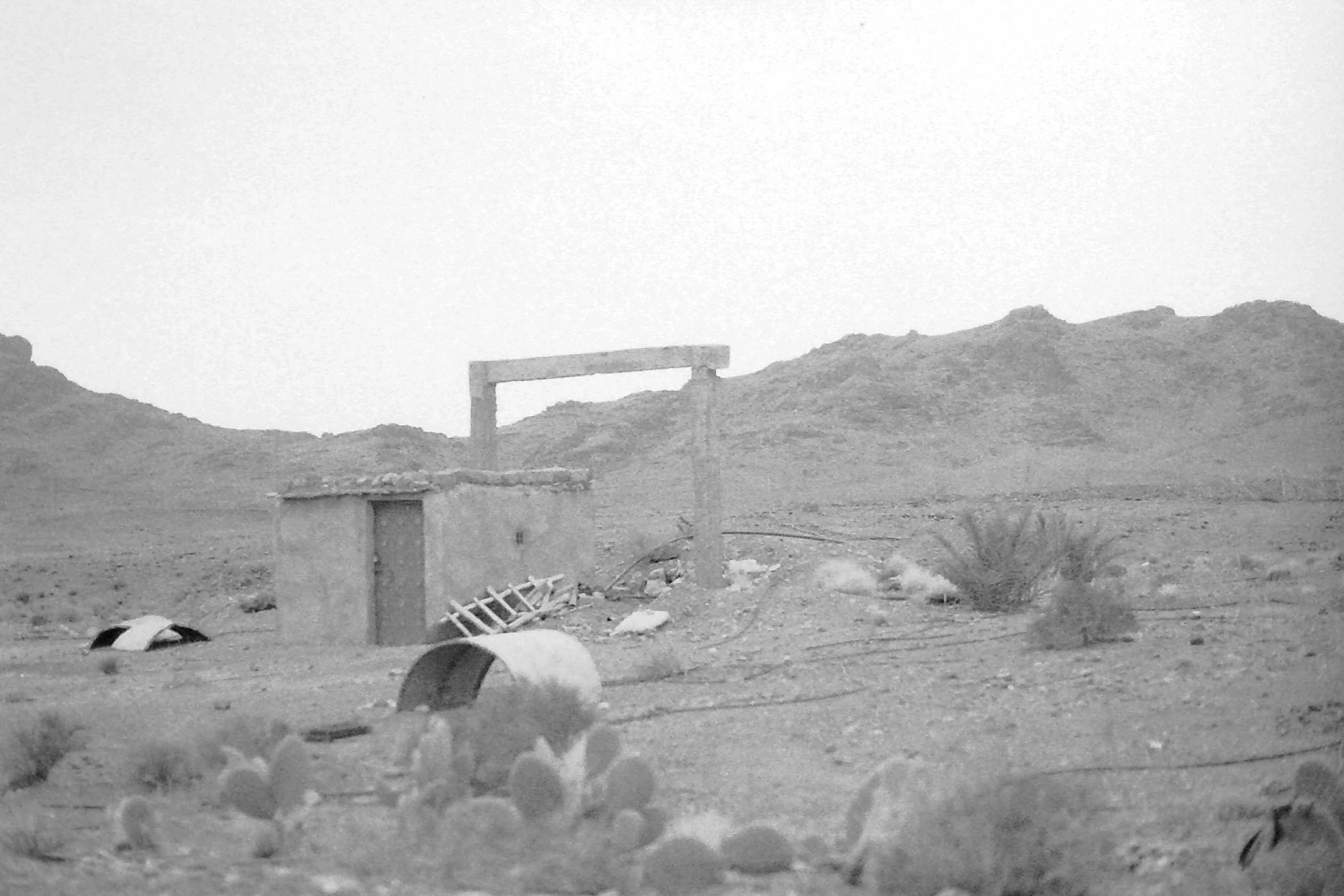 cabane abandonnée entourée de cactus devant les montagnes du désert en noir et blanc