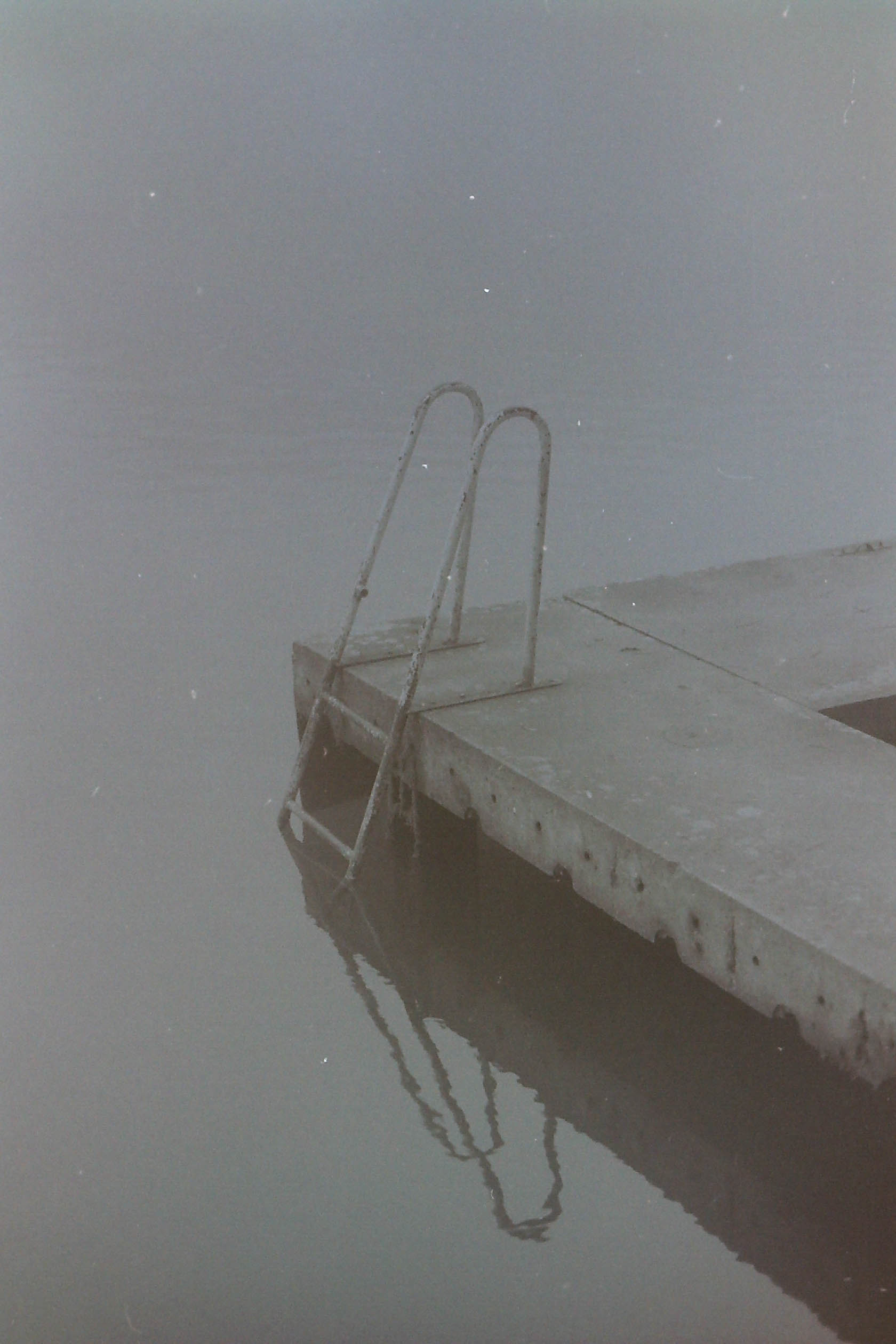 échelle d'un ponton et son reflet au bord d'un ruisseau dans le brouillard