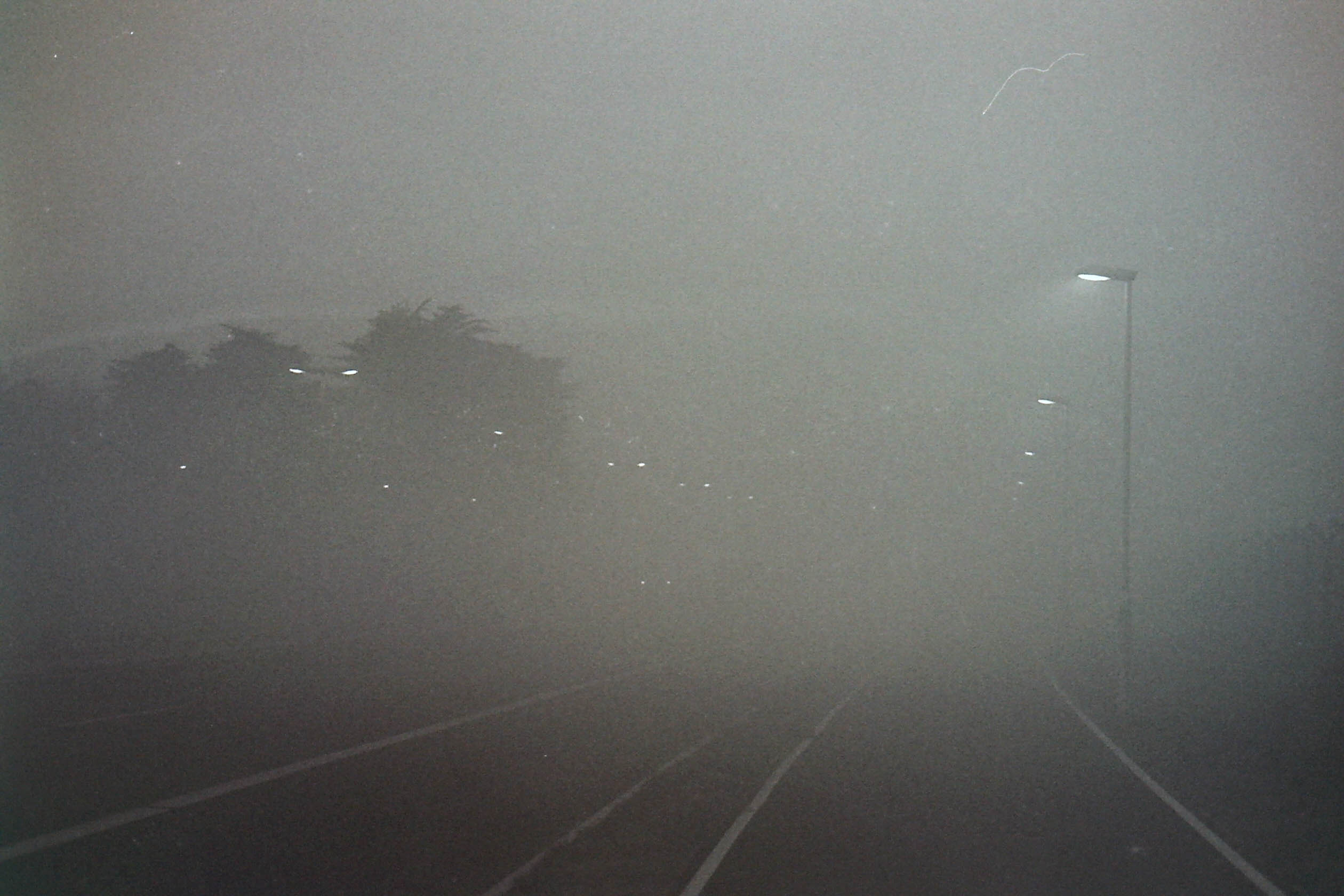 Lampadaires et route dans le brouillard au petit matin